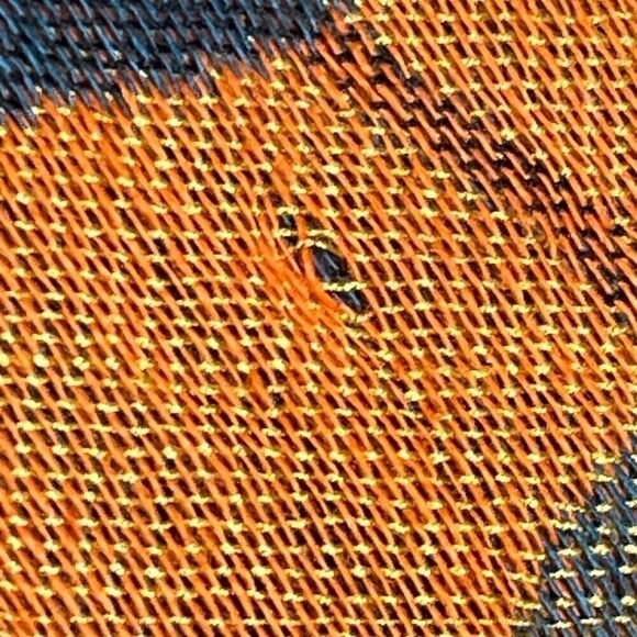 Pashmina orange and blue circle print scarf - Picture 11 of 12